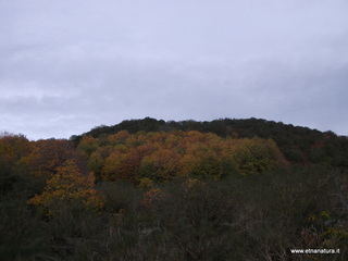 Salto_del_Cane - 18-11-2012 09-32-43.JPG